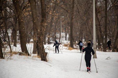 越野滑雪者的照片 